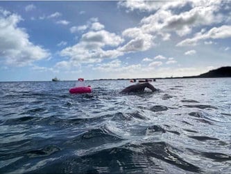 Swim Secure Open Water Swimming Tow Float Donut Pink