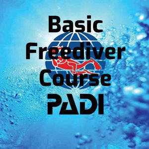 PADI Basic Freediver Course