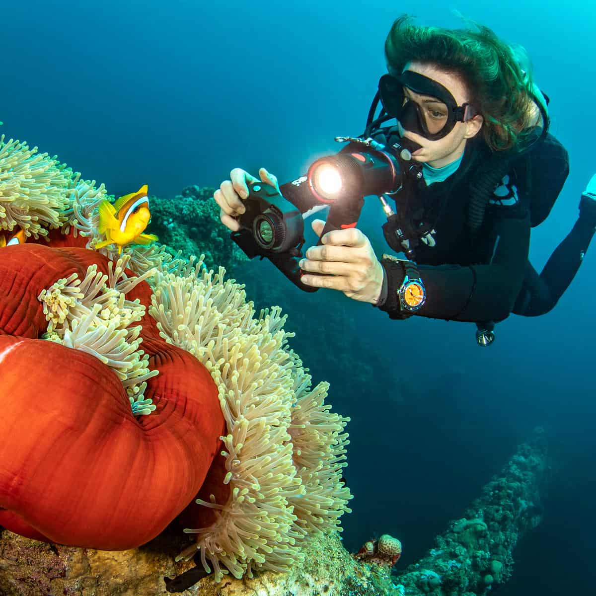 SeaLife Micro 3.0 Pro 3000 Light Set In Use