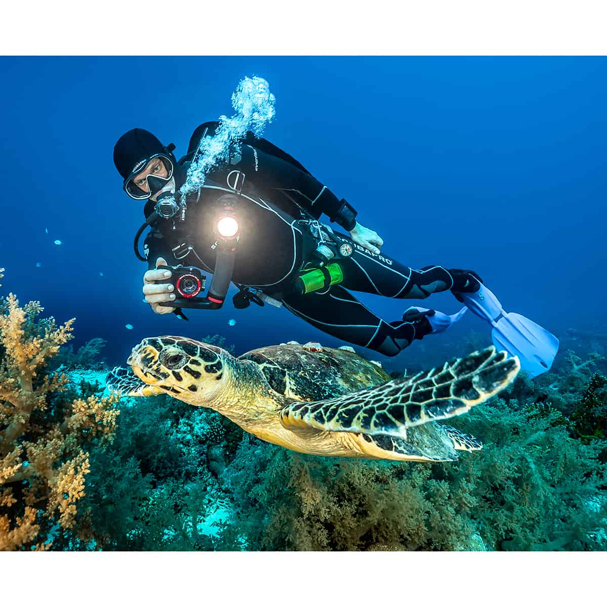 SeaLife ReefMaster RM-4K + Sea Dragon 2000F In Use Underwater