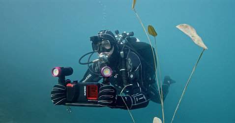 SeaLife Flex Connect Dual Tray System