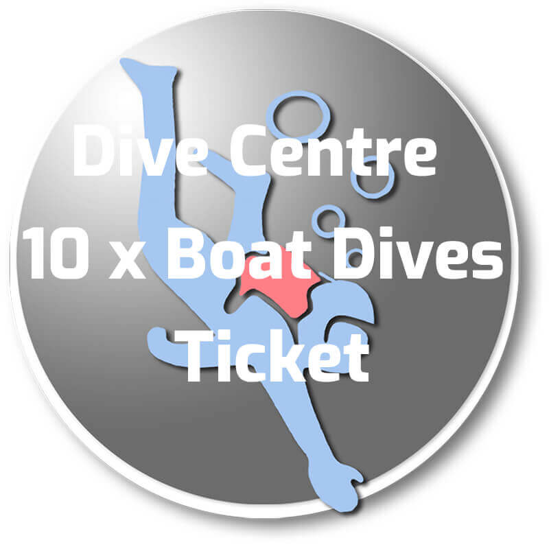 10 x Boat Dives At Teign Diving Centre