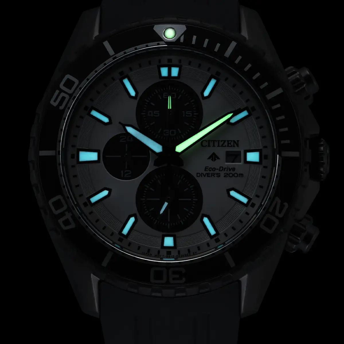 Citizen Promaster Divers Watch Black/White Dark luminescence