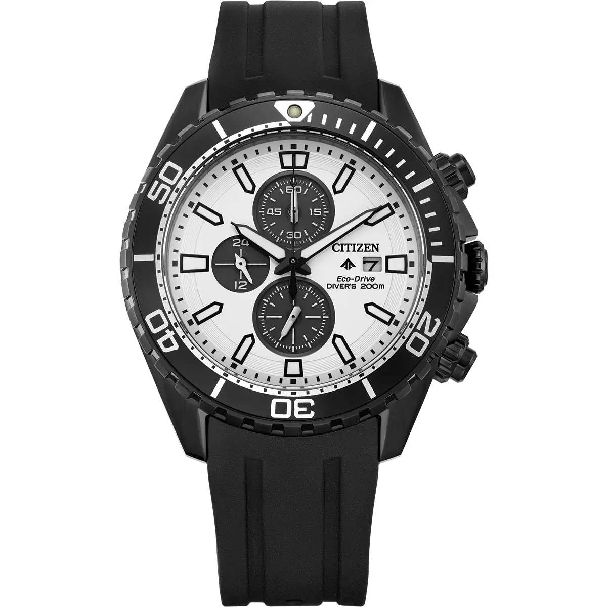 Citizen Promaster Divers Watch Black/White