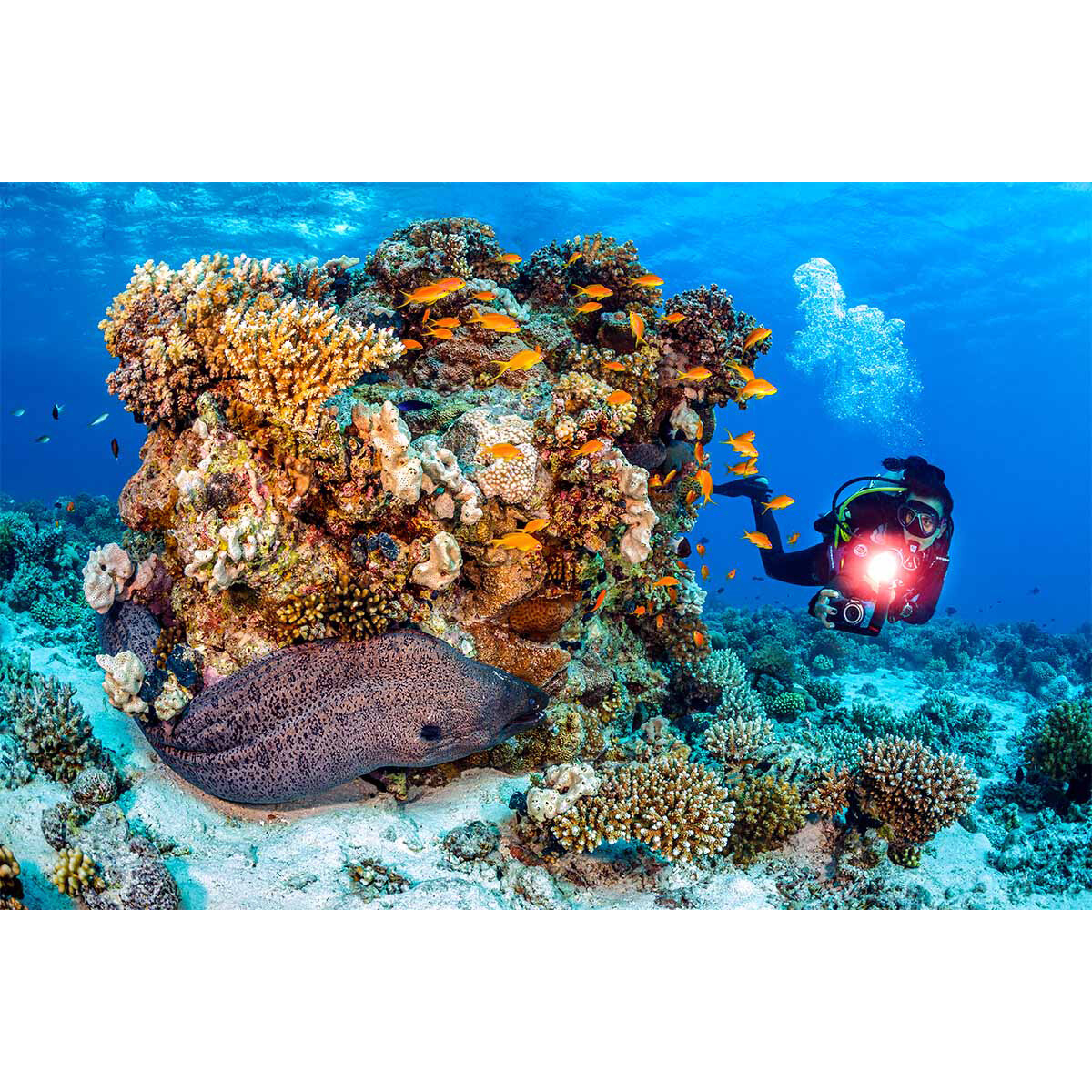 SeaLife Micro 3.0 Camera + Sea Dragon Pro 3000 Photo Light Bundle Underwater